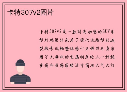 卡特307v2图片