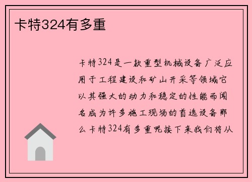 卡特324有多重